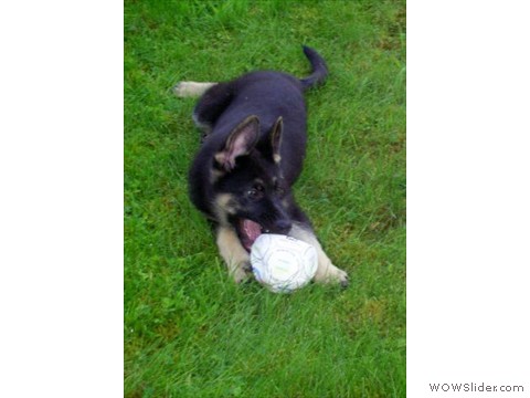 Bijou 05-08-2012_2