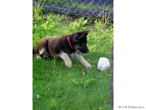 Bijou 05-08-2012_3