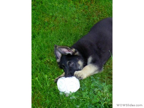 Bijou 08-2012_6