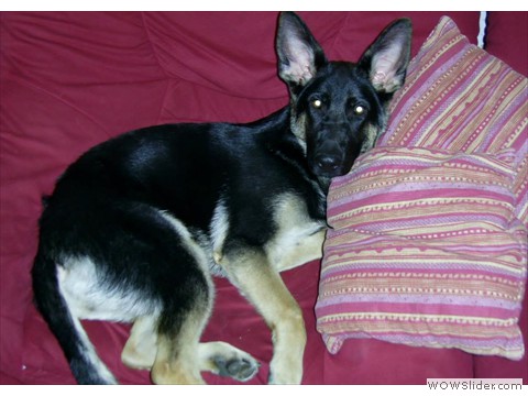 Bijou 09-2012_1