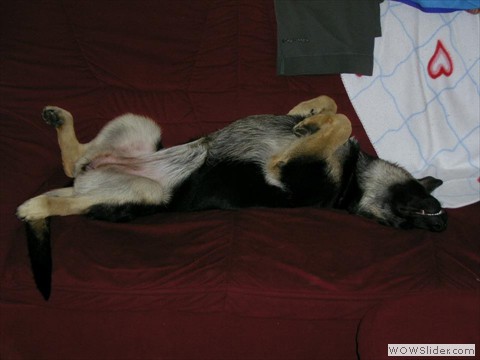 Bijou 09-2012_2