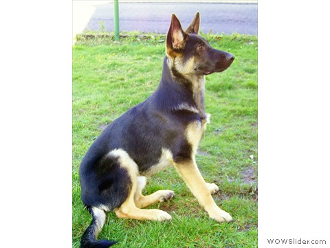 Bijou 10-2012_3