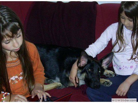 Bijou 17-10-2012_1