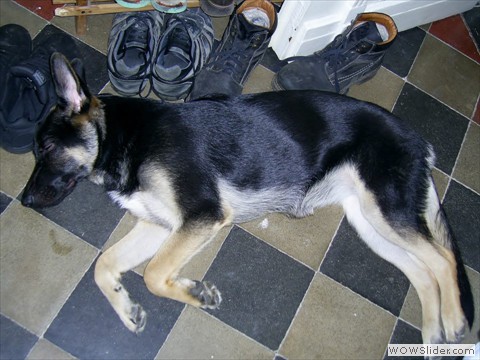 Bijou 17-10-2012_2