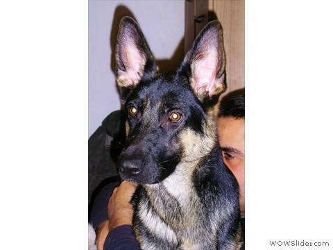 Bijou 19-02-2013_1