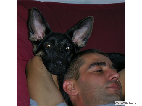 Bijou 21-10-2012_1