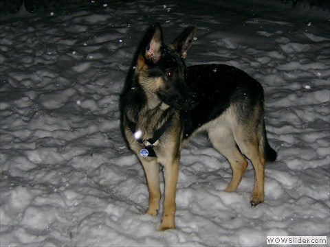 Bijou 23-02-2013_2